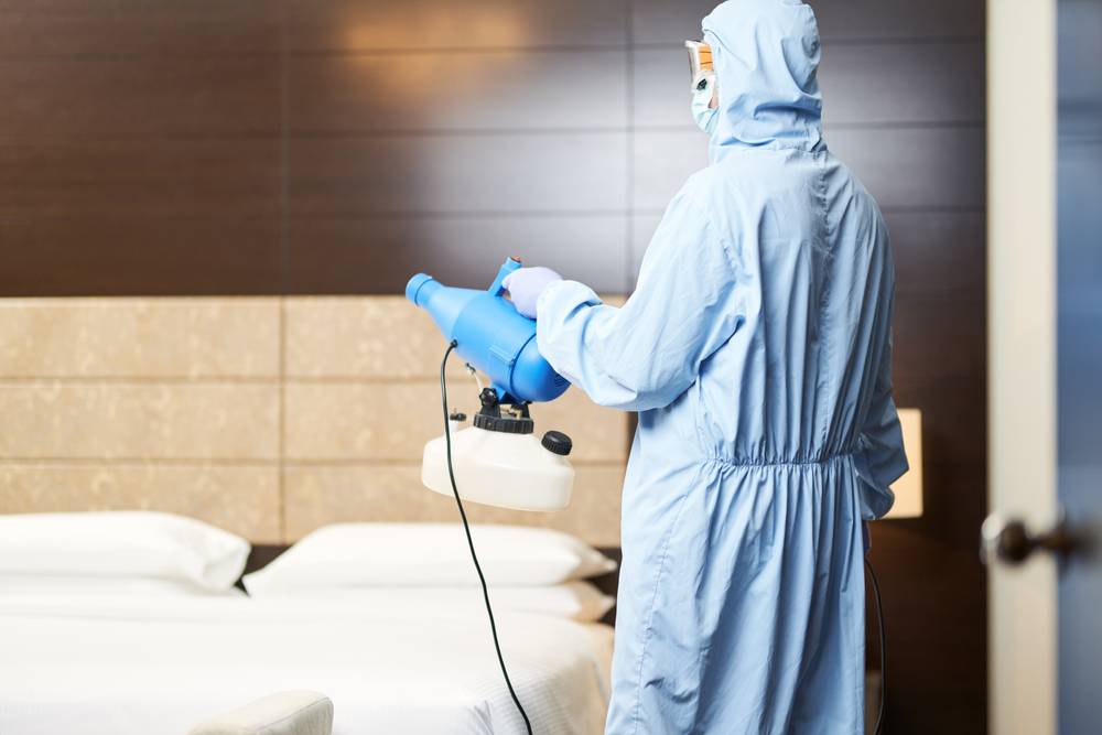 désinsectisation dans les hôtels